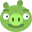 angry birds pig icon