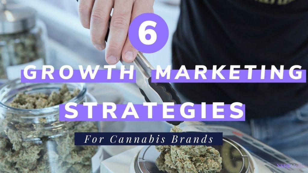 Top 6 Best Growth Marketing Strategies For Cannabis Brands Who Can't Use Paid Media