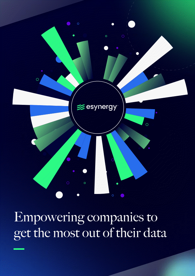 esynergy whitepaper report example 2